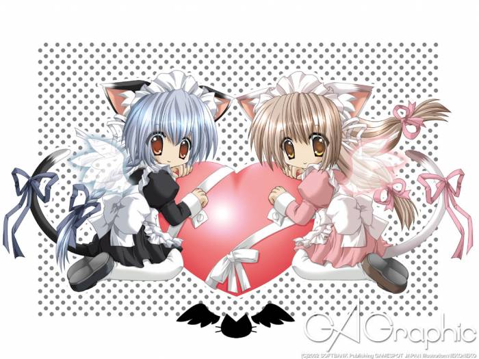 neko angel.jpg